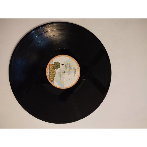 SPOOKY TOOTH Witness 1973 Island Records LP – SW-9337 - Picture 5 of 6